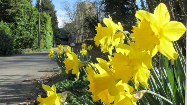 Spring