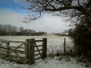 150203-Field Entrance