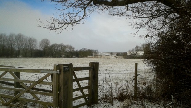 150203-Field Entrance
