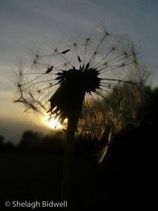 20140503_193559
