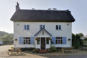hare-hounds-2