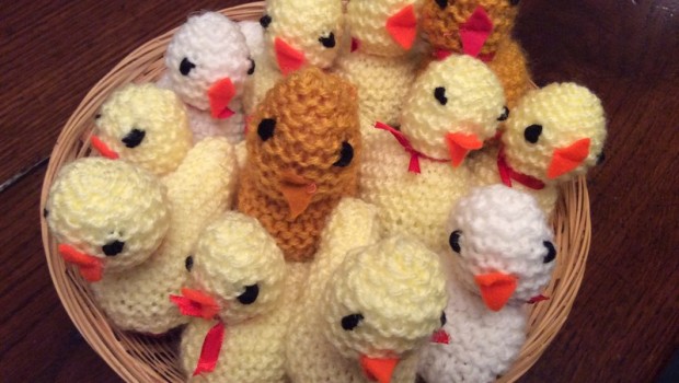 2017-04-14 Knitted Chicks Easter