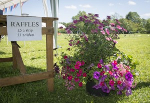 20170610 VillageFete-16