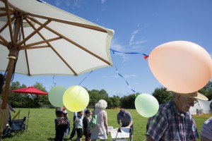 20170610 VillageFete-30