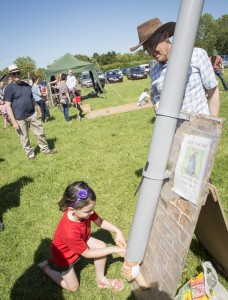 20170610 VillageFete-31