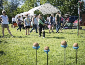 20170610 VillageFete-53