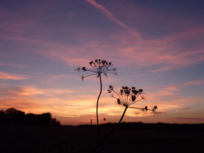 September harvest sunset 006