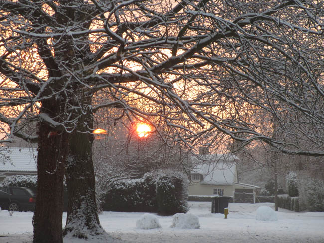 snowy dawn february 008